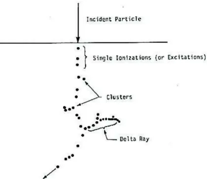 Figure 2 : Représentation du parcours d’une particule chargée dans la matière (ICRU  1970)