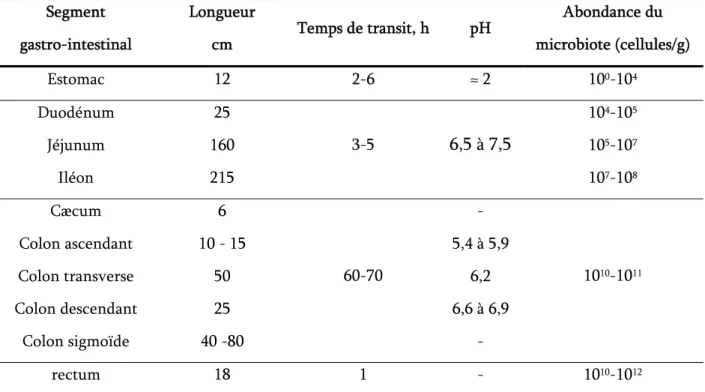 Tableau 4. Dimension approximatives du tractus gastro-intestinal, temps de transit, pH et  abondance du microbiote (D’après Justesen  et al