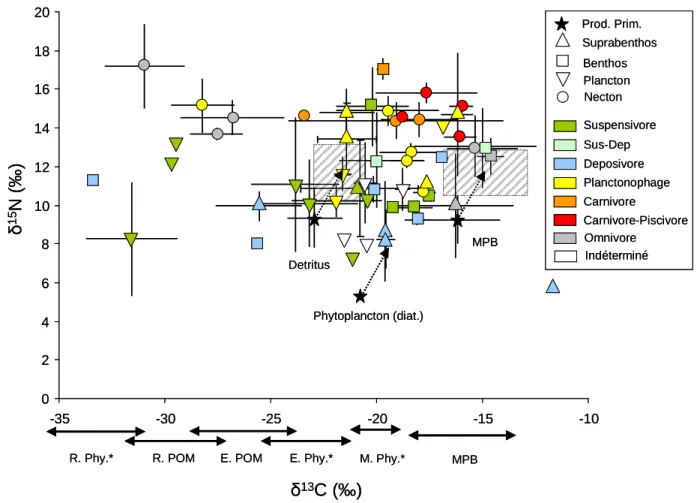 Fig.  3.9  Signatures  isotopiques  moyennes  (toutes  dates,  toutes  zones)  de  l’ensemble  des  sources  et  consommateurs  échantillonnés  dans  l’estuaire  de  la  Charente  (groupes  trophiques,  par  couleurs,  compartiments  biologiques  par  symb