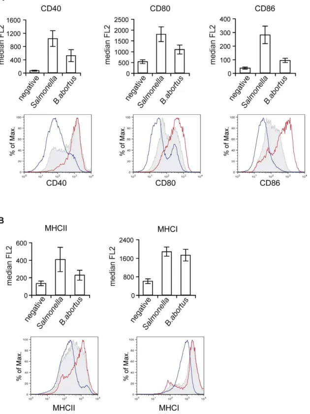 Figure 4. B. abortus-infected DCs Have Reduced Expression of Co-stimulatory Molecules