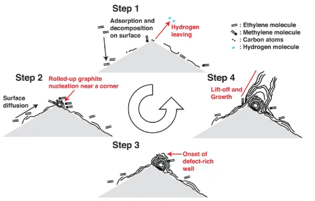 Figure 8. Description of the proposed Type 1 growth model.