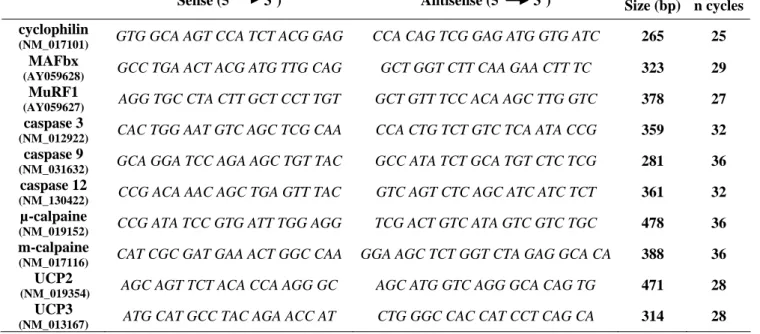 Table 1 : Primer sequences used for RT-PCR 