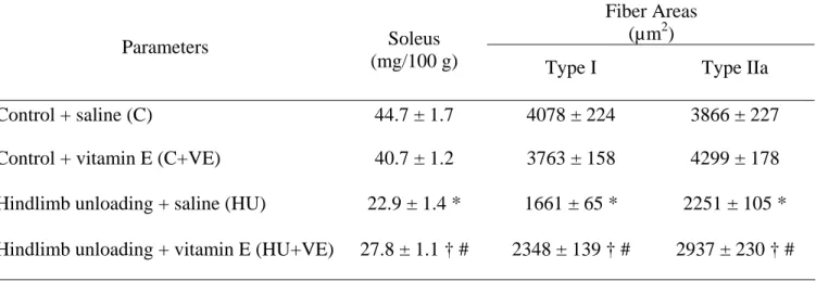 Table 2 : Soleus muscle to body mass ratio and cross-sectional areas of type I and IIa  fibers in soleus muscle 