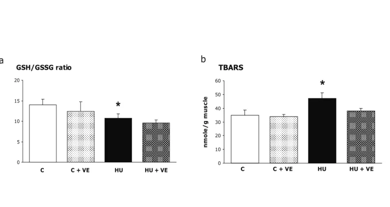 Fig. 1. Effect of unloading and vitamin E supplementation on reduced to oxidized glutathione  ratio (GSH / GSSG) and thiobarbituric acid reactive substances (TBARS) content