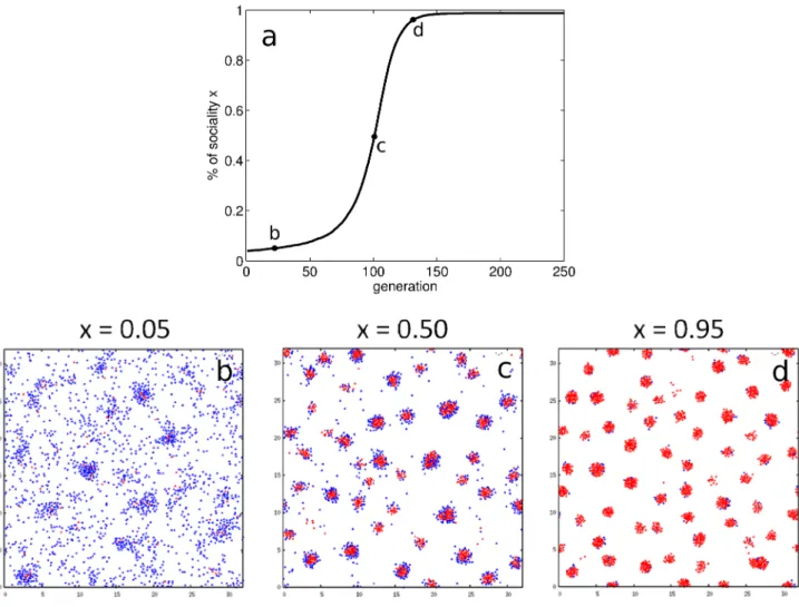 Figure 3. Evolutionary dynamics of the social trait and population structure. Panel a: S mutants, initially in small frequency, are favored as they derive more net benefits from groups on average than A particles, and ultimately invade the population
