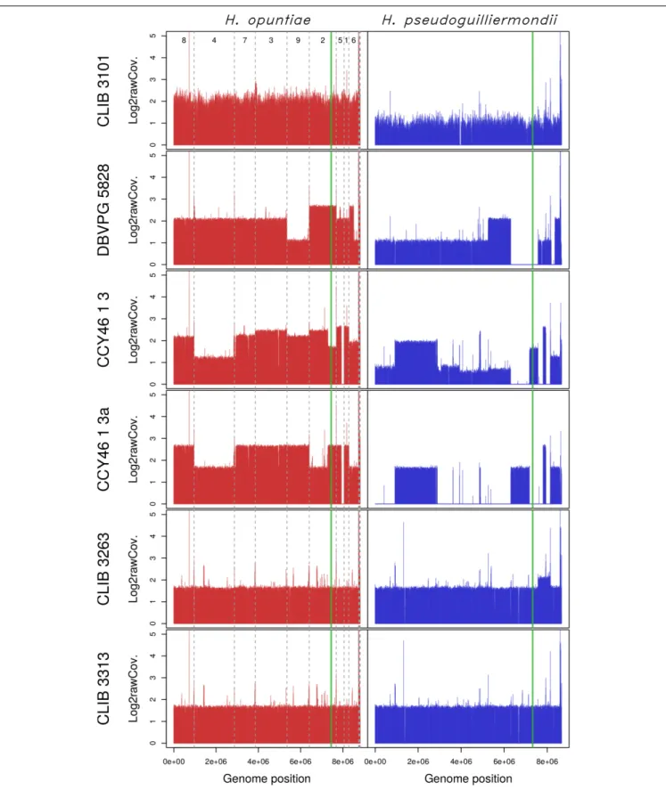 FIGURE 3 | Read coverage from the six hybrid strains along the genomes of the two parental species H