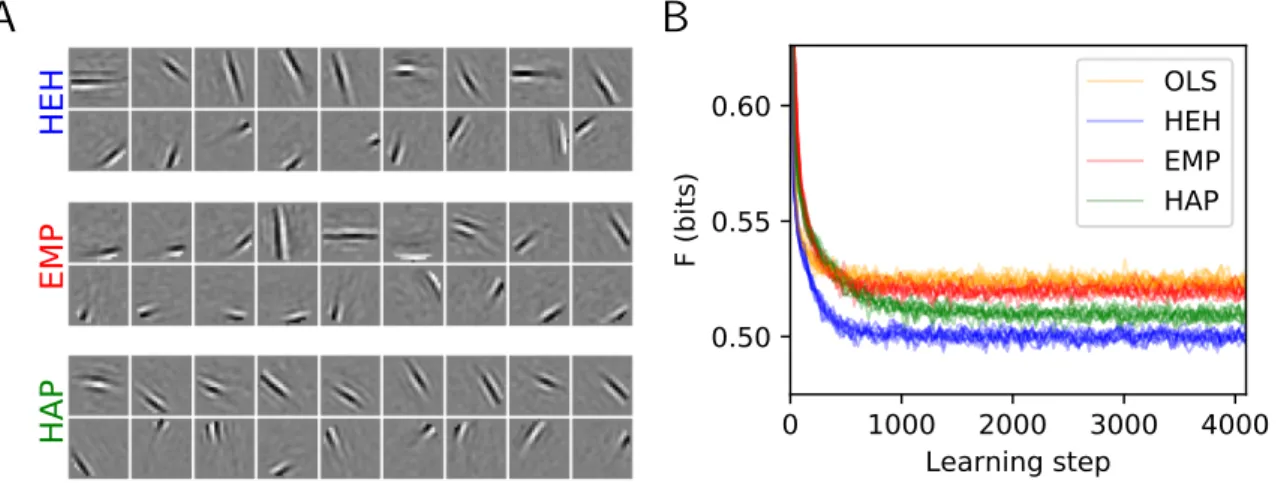 Figure 3. Homeostasis on Activation Probability (HAP) and a quantitative evaluation of homeostatic strategies