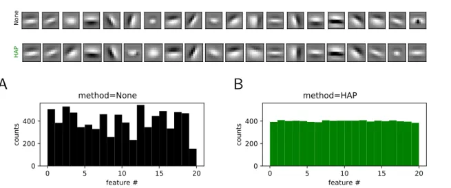Figure 4. Extension to Convolutional Neural Networks (CNNs). We extend the HAP algorithm to a single-layered CNN with 20 kernels and using the ATT face database