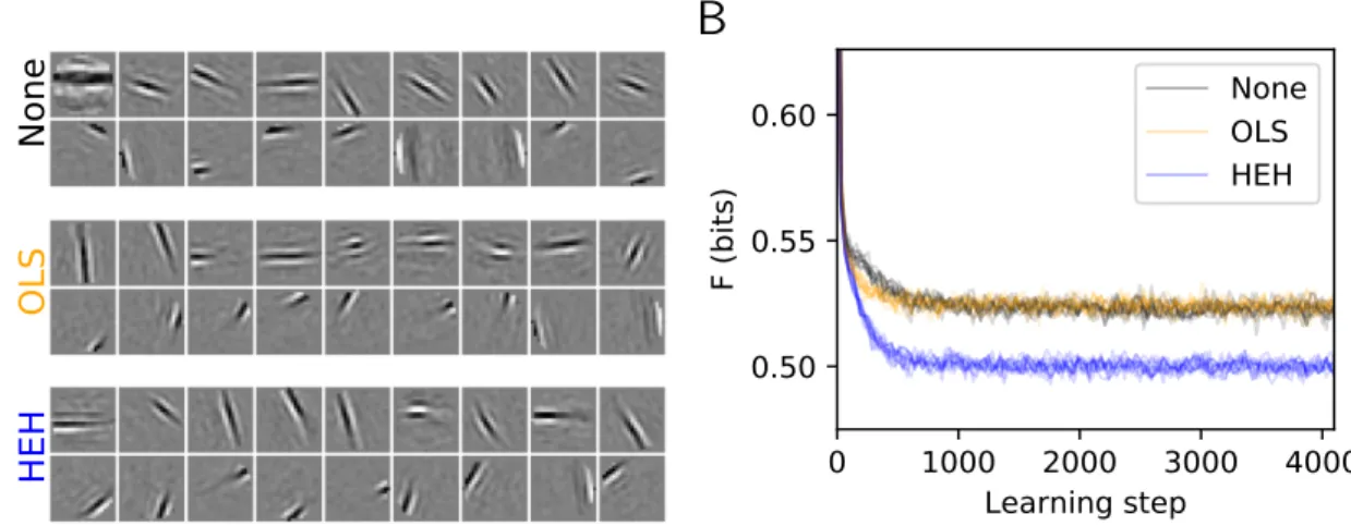 Figure 1. Role of homeostasis in learning sparse representations. This plot shows the results of the same Sparse Hebbian Learning algorithm at convergence (4096 learning epochs), but using different homeostasis algorithms