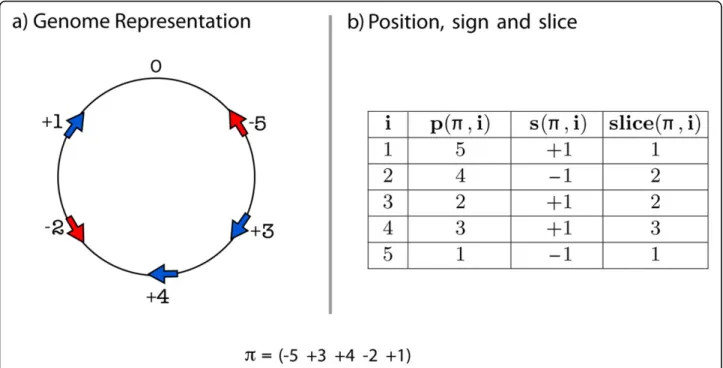 Figure 1 (a) shows the genome representation for π = ( − 5 + 3 + 4 − 2 + 1) and (b) shows the values returned by three functions when applied to π .