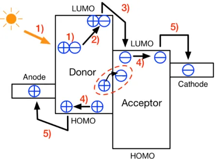 Figure 2-4: Energy level diagram of donor and acceptor in an organic solar cell: six steps of  photovoltaic effect