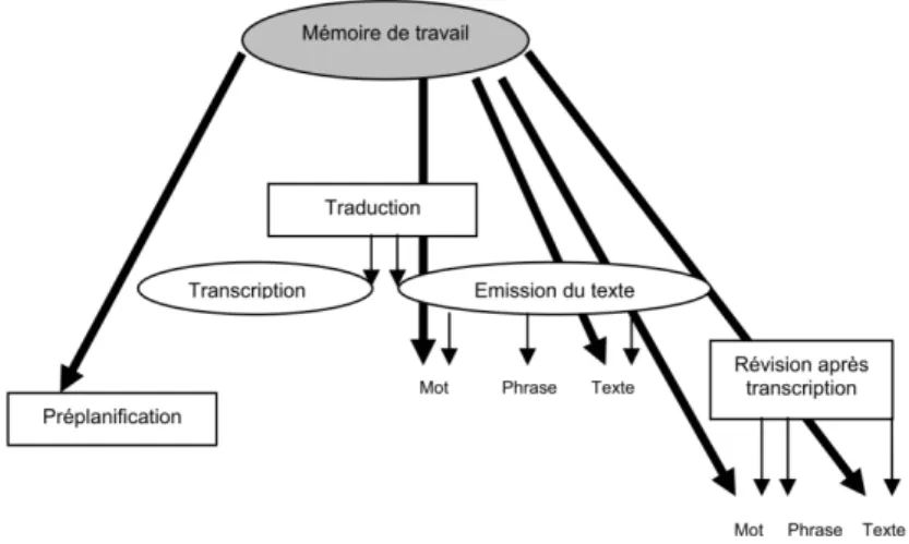 Figure 5. Troisième étape du modèle de Berninger et Swanson (1994, extrait de Piolat, 2004) 