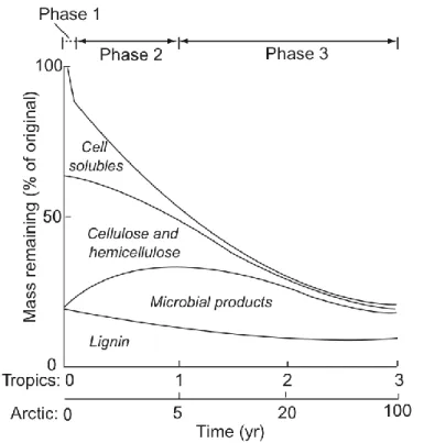 Figure  9.  Représentation  schématique  de  la  masse  restante  (%  de  la  masse  initiale)  de  litière  foliaire  en  fonction  du  temps  de  décomposition  (années)  en  climats  tropical  et  arctique