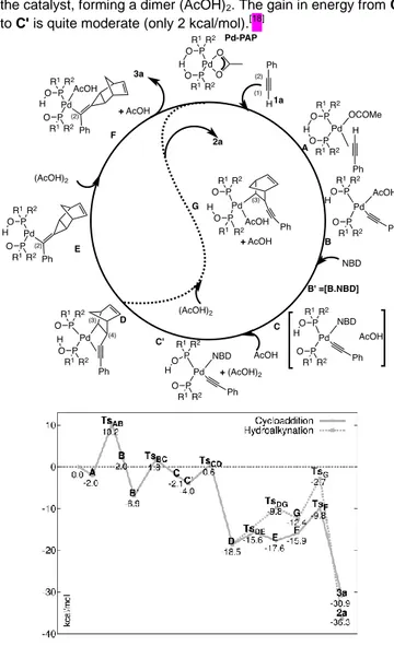 Figure 3. Computed structures (M06/def2-SVP) of intermediates C' ,  D and E,  as in Scheme 5