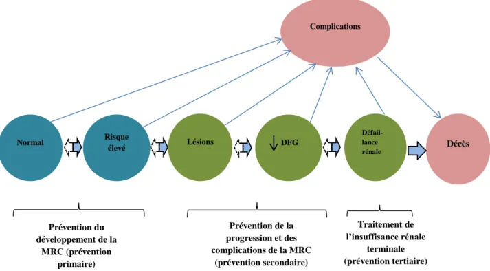 Figure 2 : Cadre conceptuel de la maladie rénale chronique 