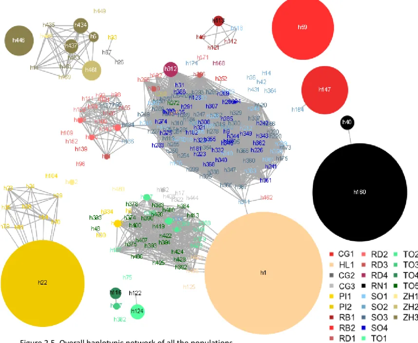 Figure 2.5. Overall haplotypic network of all the populations.  