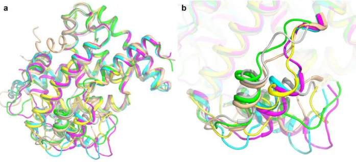 Figure 6. Representative 6 FXR PDB structures superimposed: a) general view, showing a very  good  global  conservation  of  structural  features;  b)  zoom  on  residues  258-285  and  335-358,  highlighting the conformational flexibility of these fragmen