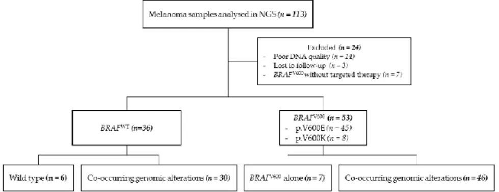 Figure 1. Analytical flowchart of the study. BRAF WT : BRAF wild type, NGS: next generation sequencing