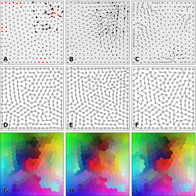 Figure 9: Reorganization (results). An initial set of 248 neurons (outlined discs on panel A) has been modified with the addition of 25 neurons (black discs) or the removal of 25 neurons (red discs)