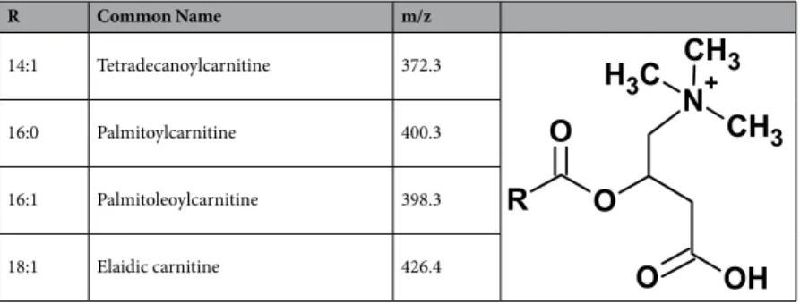 Table 1.  Medium- and long-chain acylcarnitine assignments specific to the lesion site 3, 7 and 10 days after SCI.