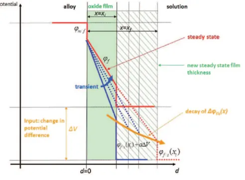 Figure 2.17  Evolution du potentiel dans l'oxyde en fonction de l'épaisseur de l'oxyde et donc du temps [116]