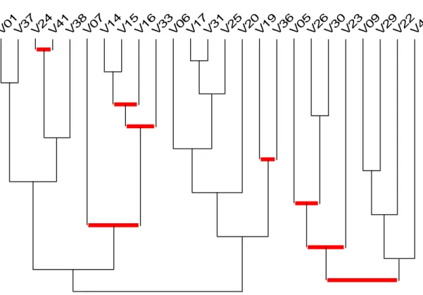 Figure 1 : Arbre des similarités du contenu des images de journaux en 2007 et 2012 