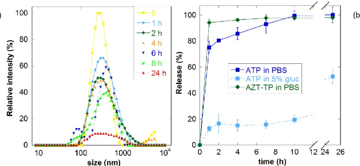 Figure 4. (a) Degradation of CS/ATP nanoparticles (N/P = 1.3) during incubation in PBS as evaluated  by relative intensity of DLS