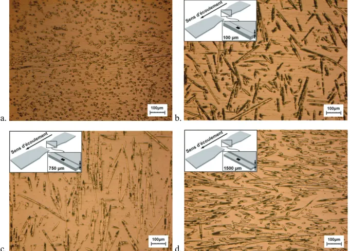 Figure 3-5 : Coupes polies de la microstructure de l’éprouvette longitudinale. a. Tranche