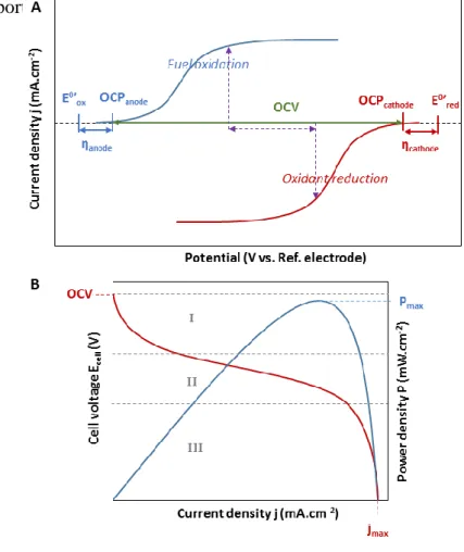 Figure 5.  Electrochemical  characterization of an EBFC. A: Current/Voltage response of the  bioanode  (blue  curve)  and  of  the  biocathode  (red  curve)
