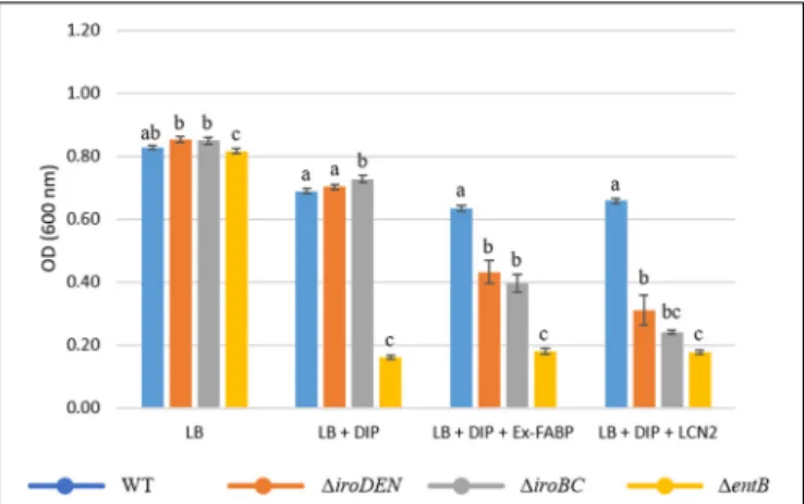 FIGURE 5 | Effect of Ex-FABP on growth of Salmonella Enteritidis and mutants defective in siderophore production and/or utilization under iron restriction in rich medium (LB broth)
