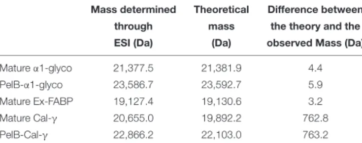 TABLE 3 | Comparison of the purification products detected through ESI-MS and the theoretical mass of the lipocalin-like proteins.
