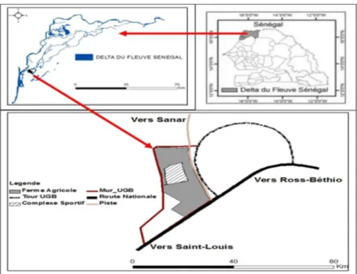 Figure 1. Localisation de la zone d’étude (Diack et Loum, 2014) 