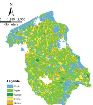 Figure 6.2 – Carte d’occupation des sols du bassin versant de la Peyne. Les zones sans couleurs correspondent à des zones urbaines.
