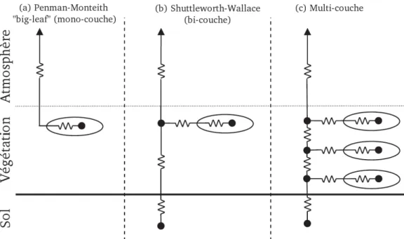 Figure 1.3 – Sources et réseau de résistances associés au flux de vapeur d’eau entre un couvert végétal et l’atmosphère (Overgaard et al., 2006).