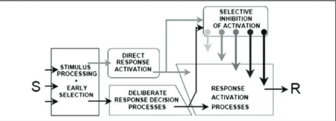 Figure 5: Le dual-route model. Architecture des processus d’activation/inhibition de la réponse motrice