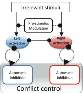 Figure 6 : Illustration de l’inhibition automatique sélective comme composante du contrôle cognitif, tiré de Boy  et al., 2010a