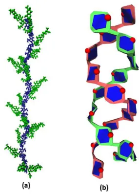 Figure  6.  Molecular  representation  of  the  3D  structure  (a) Xanthan  polysaccharide,  with  an  illustration  of  the colour  coding  used  to  depict  the  backbone  versus  the side  chain;  (b)  Starch  double  helix,  (left  handed  parallel str
