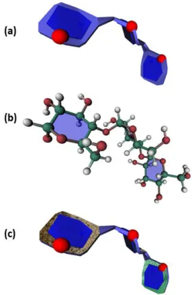 Figure 2. Different molecular representations of the 3D  structure  of  maltotriose  molecule:  Glc  1-4  Glc  1-4  Glc,  (blue  CFG  coding  is  given  to  the  glucose  units)  (a)  SugarRibbon  representation,  where  the  intra-cyclic  oxygen atom is