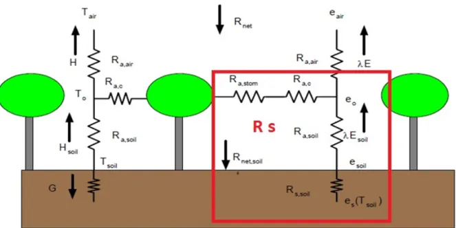 Figure 2.6 – Sch´ ema illustrant le mod` ele ”big-leaf” de r´ esistance/conductance selon [ Shuttleworth &amp;