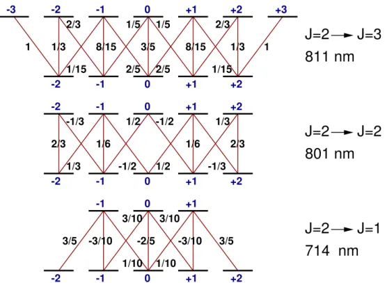 Fig. 2.5 – Carr´e des coefficients de Clebsch-Gordan utiles pour Ar ? . (Un signe moins indique que le coefficient lui-mˆeme est n´egatif) [24]