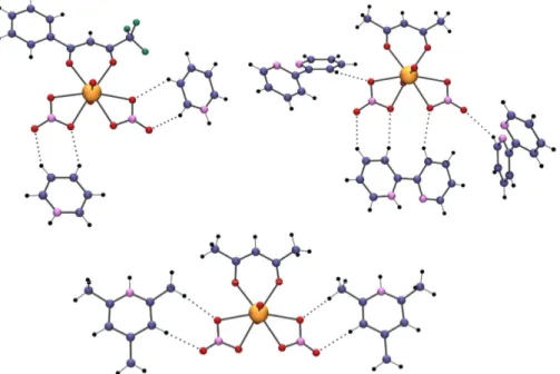 Fig. 4  CHO  interactions  (dotted  lines)  in  [UO 2 (diketonate)(NO 3 ) 2 ] –  anions