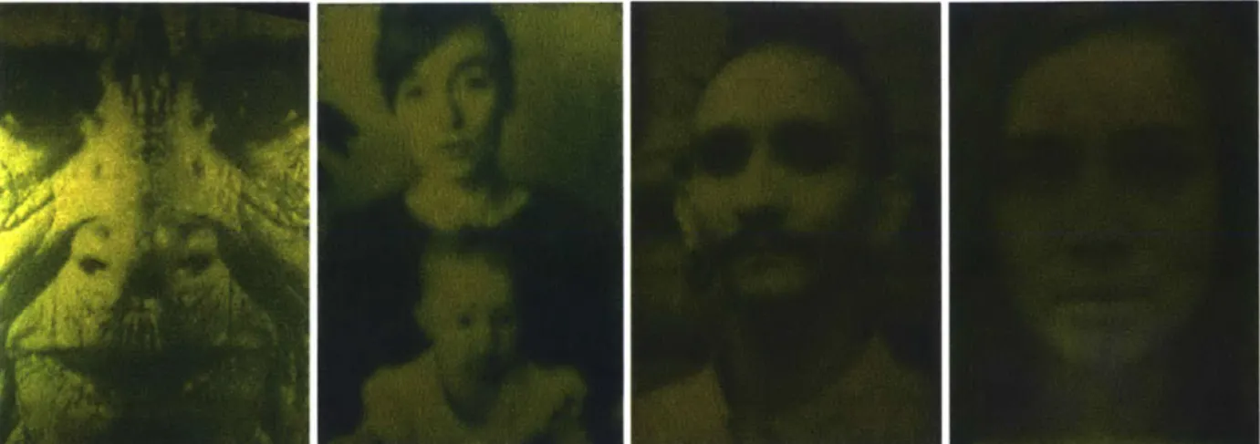 Figure  3.5  Chlorophyll  Apparitions  by Ackroyd  and  Harvey.  Pictures  produced through  photographic  photosynthesis  with strains  of stay-green  grass
