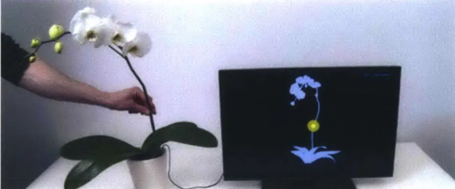 Figure  3.7  Botanicus  Interacticus:  Detecting  where  the user is  touching  a  plant