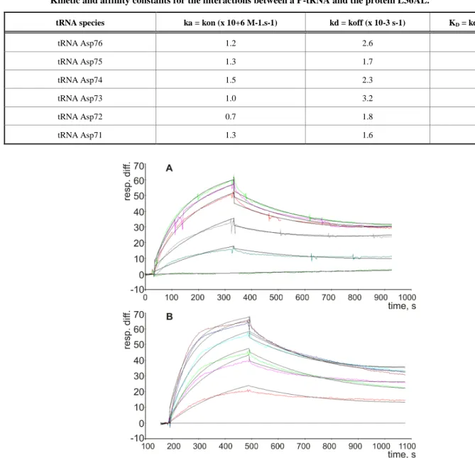 Fig.  (2). Kinetic  measurement  of  RPL36AL:tRNA  interaction.  (A),  His-tagged  RPL36AL  was  immobilized  on  the  surface  of  NTA  sensor  chip at low density resonance units (RU)