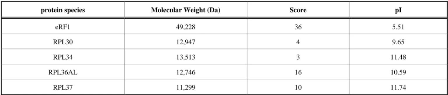 Table 2.  MALDI  mass  spectrometric  analysis  of  the  tryptic  digest  obtained  by  in  gel  digestion  with  trypsin  of  the  crosslinked  product  (gel  band  “b”)  corresponding  to  the  ternary  complex  RPL36AL-tRNAox-eRF1  (for  details,  see  