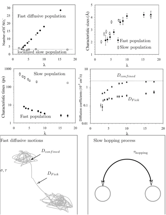 Figure 3.7: Parameters extracted from the data using the Gaussian model. Two populations of protons (top left), with their associated confinement sizes (top right), characteristic times (bottom left) and diffusion coefficients (bottom right), as  ob-tained