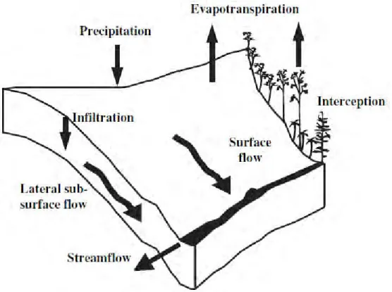 Fig. 2.3 The schematic diagram describing hill slope hydrology (Moretti, 2007) 