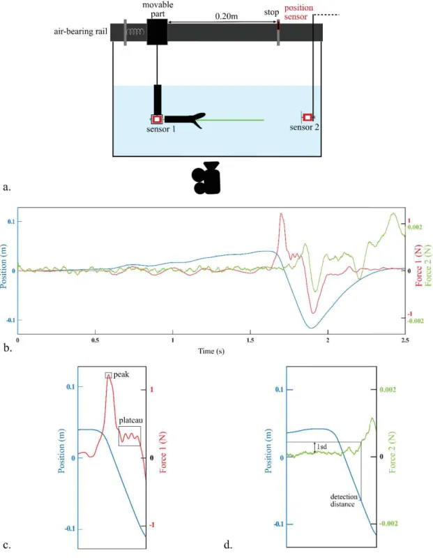 Figure 14: a. Experimental setup used to simulate the frontal attack of a snake towards  a prey