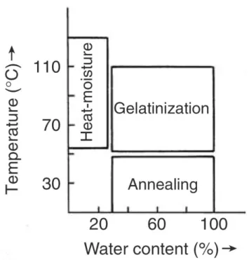 Figure  2-8:  Heat-moisture  treatment  of  starch  versus  water  content  and  temperature  in  starch (Biliaderis, 2009) 