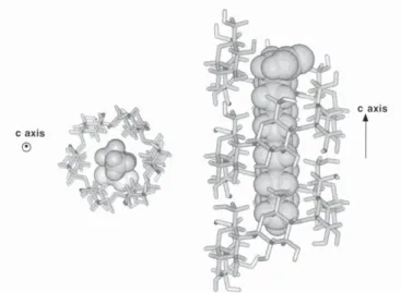 Figure  2-16: Molecular modelling  representation  of  amylose-fatty acid complexes  showing  the  inclusion  of  the  aliphatic  part  (C12)  of  fatty  acid  inside  the  hydrophobic  cavity  of  the  amylose single helix (Buléon, et al., 1998)